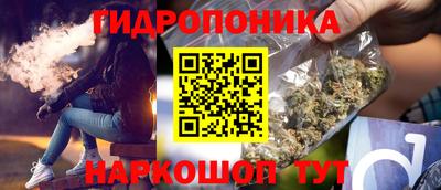 шишки Славянск-на-Кубани