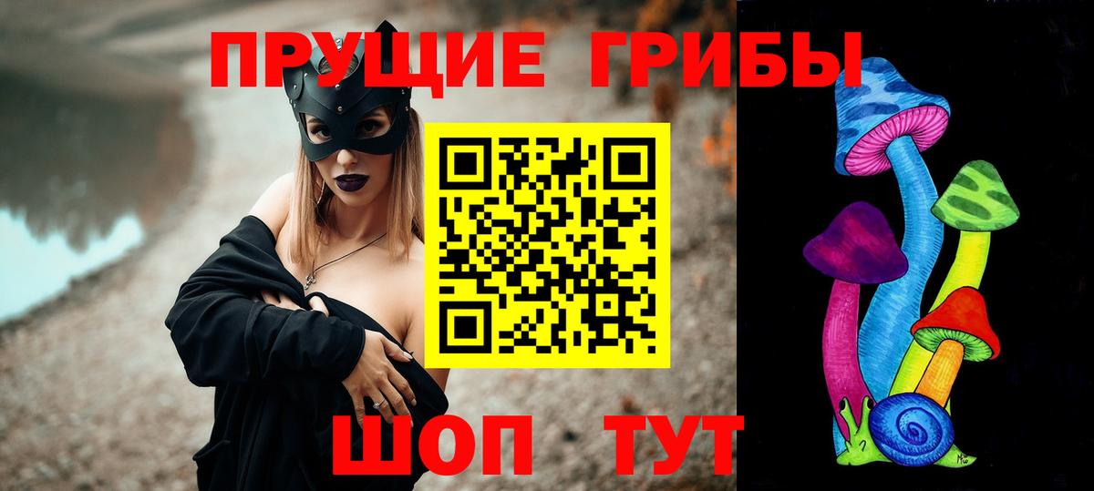 Галлюциногенные грибы Cubensis Михайловка